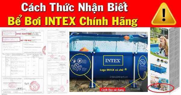 cach-thuc-phan-biet-be-boi-intex-chinh-hang