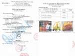 Xe chòi chân ô tô đôi Hàn Quốc HNR283