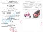 Xe máy điện cho bé gái Bản quyền Vespa cỡ lớn nhất PX150