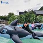 Phao bơi cá voi đen intex 58561