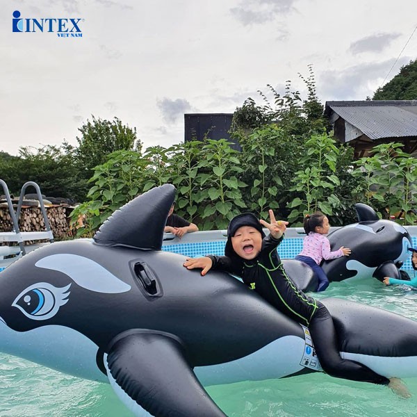 Phao bơi cá voi đen intex 58561