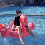 Phao bơi hồng hạc INTEX 57558