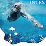 Bộ kính bơi chân vịt INTEX 55657