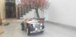 img-20240416-093807