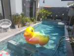 img-20240416-101149