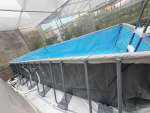 be-boi-intex-28-10-1
