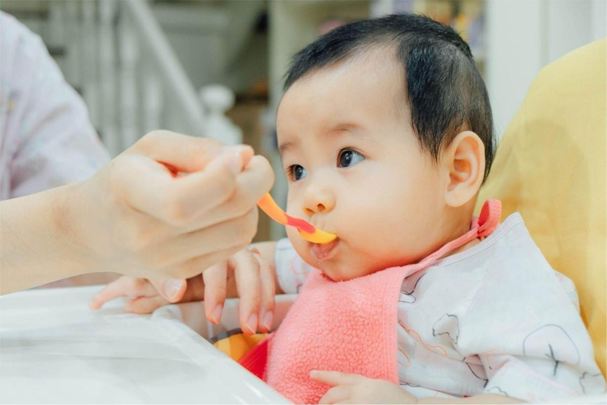 Bé đi du xuân ăn đúng giờ