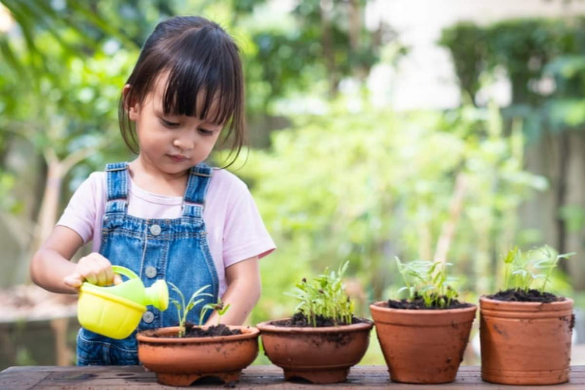 Chào hè cùng con trồng cây