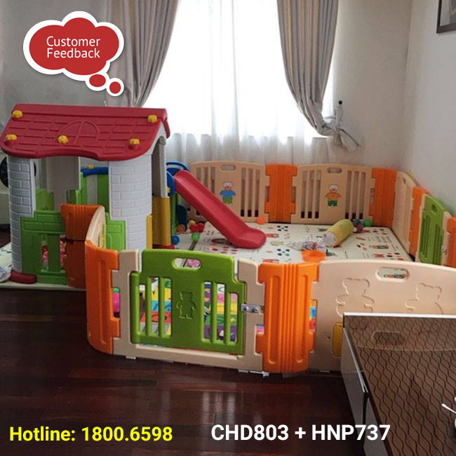 chd803+hnp734