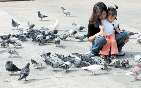 Cùng bé khám phá thế giới