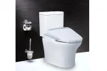 Bồn Cầu Một Khối Caesar D1341-TAF200H