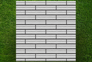 crv04