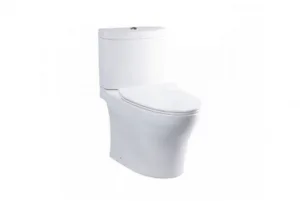 cs769drt8