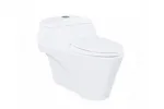 Bồn cầu một khối TOTO CW823RAT2
