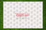 Gạch trang trí Vĩnh Cửu Đá Hạ Long Trắng
