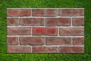 gach-co-den-nau
