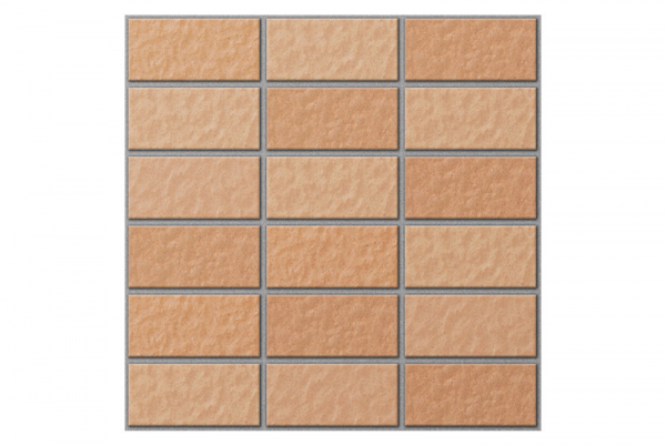buildshopvn-tot-gach-kien-truc-inax-255viz10