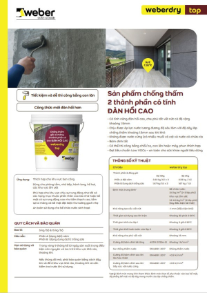 wbttinh-nang-chong-tham-goc-xi-mang-weberdry-top