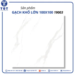 19003