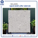 Gạch nhập khẩu khổ lớn C8