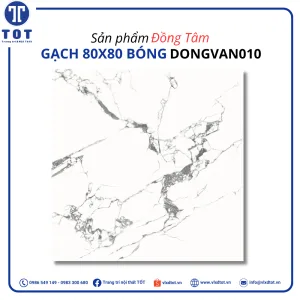 dongvan010