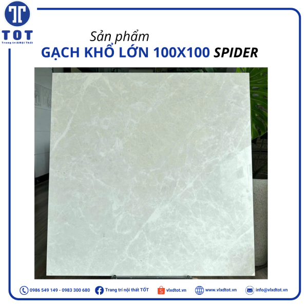 spider