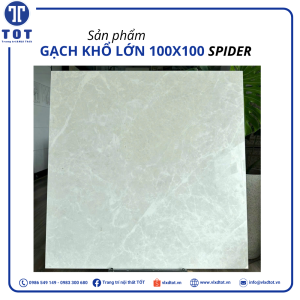 spider