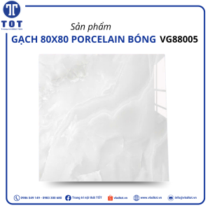 vg88005