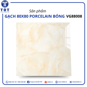 vg88008