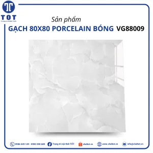 vg88009