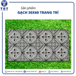 Gạch Trang Trí 30x60 Nhập Khẩu NK102