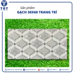 Gạch Trang Trí 30x60 Nhập Khẩu NK63