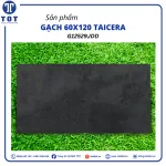 Gạch Khổ Lớn 60x120 TAICERA G12529JDD