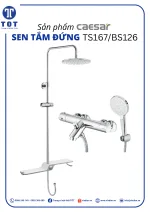Sen Tắm Đứng CAESAR TS617/BS126