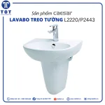 Chậu Lavabo Treo Tường CAESAR L2220+P2443