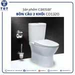 Bàn Cầu Hai Khối CAESAR CD1320