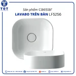 Chậu Lavabo Đặt Bàn CAESAR LF5256