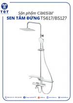 Sen Tắm Đứng CAESAR TS617/BS127