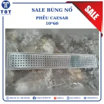 Phễu Caesar 10*60