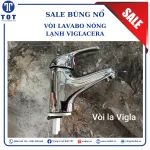 Vòi Lavabo Viglacera