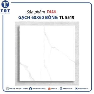tl-5519
