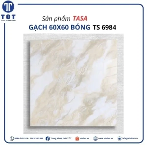 ts6984