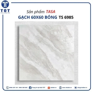 ts6985