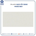 Gạch ốp tường Prime 9867