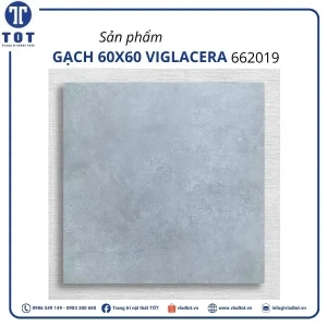 662019