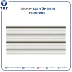 Gạch ốp tường Prime 9980