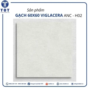 anc-h02