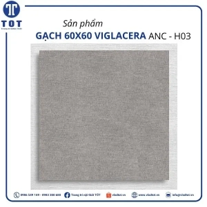 anc-h03