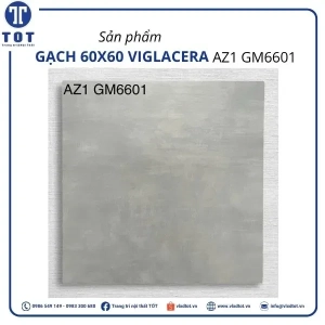 az1-gm6601