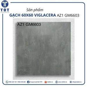az1-gm6603-1